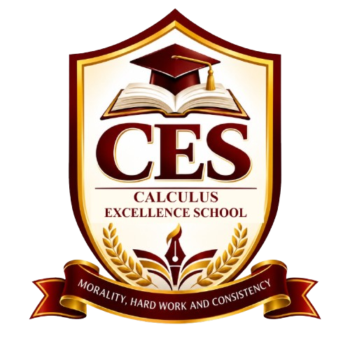 CALCULUS EXCELLENCE SCHOOL